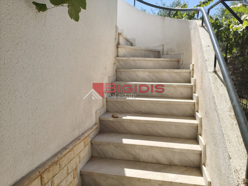ΕΠΕΝΔΥΤΙΚΗ ΜΕΖΟΝΕΤΑ ΣΤΟ ΟΦΡΥΝΙΟ