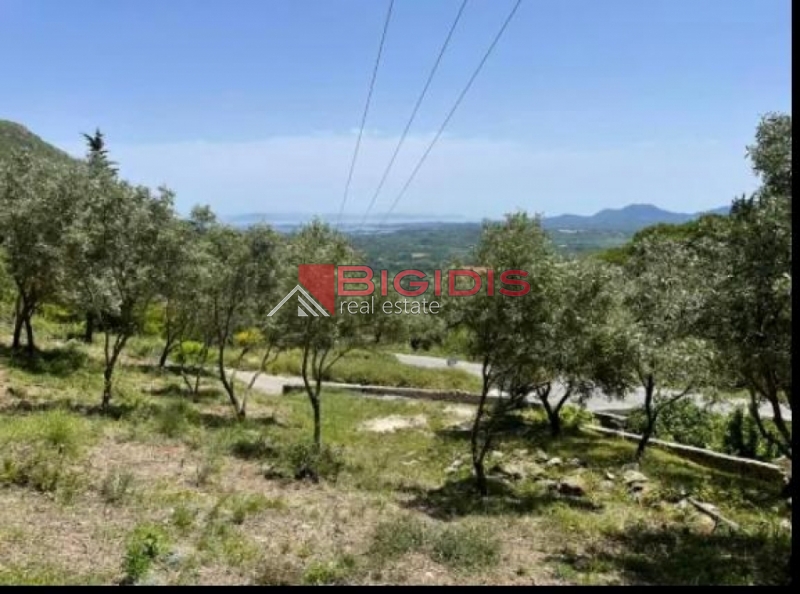 ΚΕΡΚΥΡΑ  οικόπεδο και μονοκατοικία .