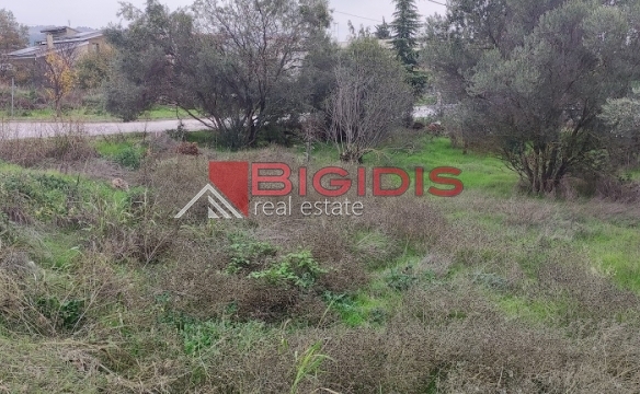 Κωδικός ακινήτου: 10-7527 – Στην καρδιά του Λευκώνα, πωλείται ένα μοναδικό οικοδομήσιμο οικόπεδο, επίπεδο
