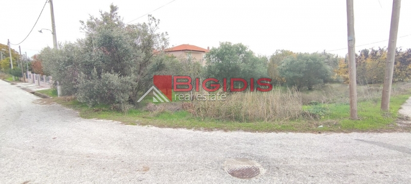 Κωδικός ακινήτου: 10-7527 – Στην καρδιά του Λευκώνα, πωλείται ένα μοναδικό οικοδομήσιμο οικόπεδο, επίπεδο