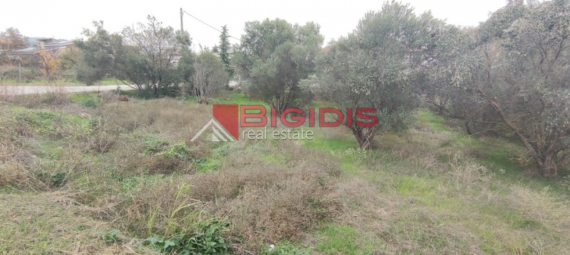 Κωδικός ακινήτου: 10-7527 – Στην καρδιά του Λευκώνα, πωλείται ένα μοναδικό οικοδομήσιμο οικόπεδο, επίπεδο