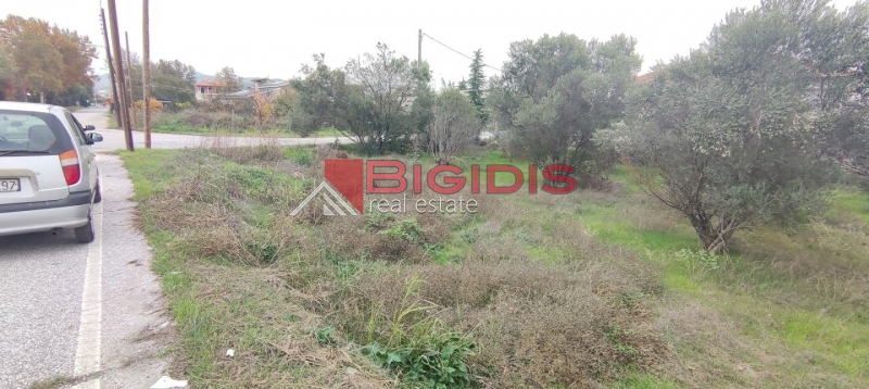 Κωδικός ακινήτου: 10-7527 – Στην καρδιά του Λευκώνα, πωλείται ένα μοναδικό οικοδομήσιμο οικόπεδο, επίπεδο