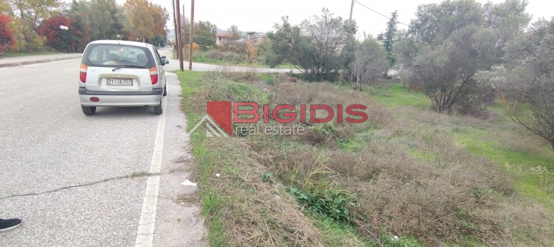 Κωδικός ακινήτου: 10-7527 – Στην καρδιά του Λευκώνα, πωλείται ένα μοναδικό οικοδομήσιμο οικόπεδο, επίπεδο