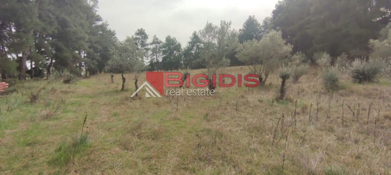 Κωδικός ακινήτου: 10-7621 – Σέρρες, περιοχή Μαρμαράς, Περδικάρη. Πωλείται οικοδομήσιμο αγροτεμάχιο με συνολική επιφάνεια 13.000 τ.μ.