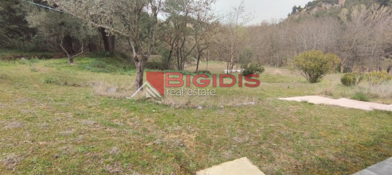 Κωδικός ακινήτου: 10-7621 – Σέρρες, περιοχή Μαρμαράς, Περδικάρη. Πωλείται οικοδομήσιμο αγροτεμάχιο με συνολική επιφάνεια 13.000 τ.μ.