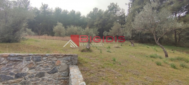 Κωδικός ακινήτου: 10-7621 – Σέρρες, περιοχή Μαρμαράς, Περδικάρη. Πωλείται οικοδομήσιμο αγροτεμάχιο με συνολική επιφάνεια 13.000 τ.μ.