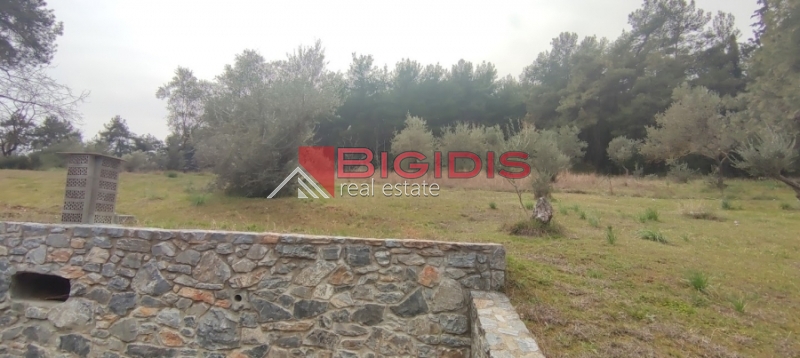 Κωδικός ακινήτου: 10-7621 – Σέρρες, περιοχή Μαρμαράς, Περδικάρη. Πωλείται οικοδομήσιμο αγροτεμάχιο με συνολική επιφάνεια 13.000 τ.μ.