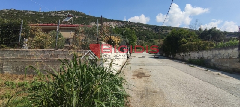 Πωλείται Οικόπεδο στην Περιοχή Επτάμυλοι – Σέρρες

Κωδικός ακινήτου: 10-7671