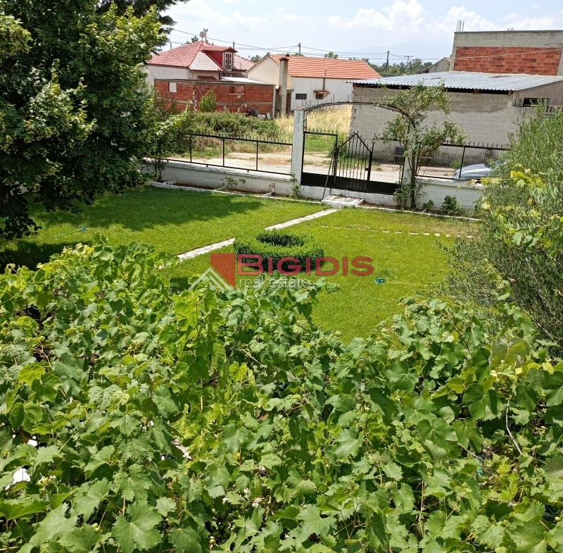 MONOKATOIKIA  270 m2 ισόγειο 145 με 3 δωμάτια σαλοκουζίνα