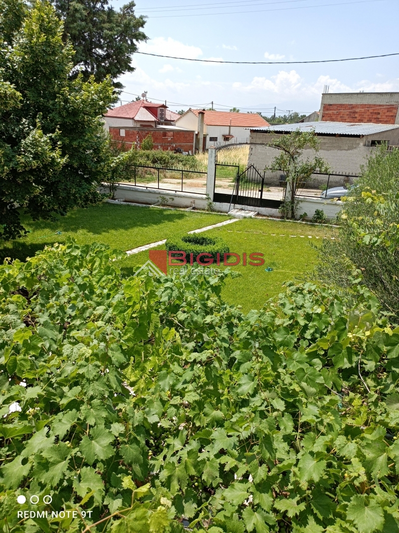 MONOKATOIKIA  270 m2 ισόγειο 145 με 3 δωμάτια σαλοκουζίνα