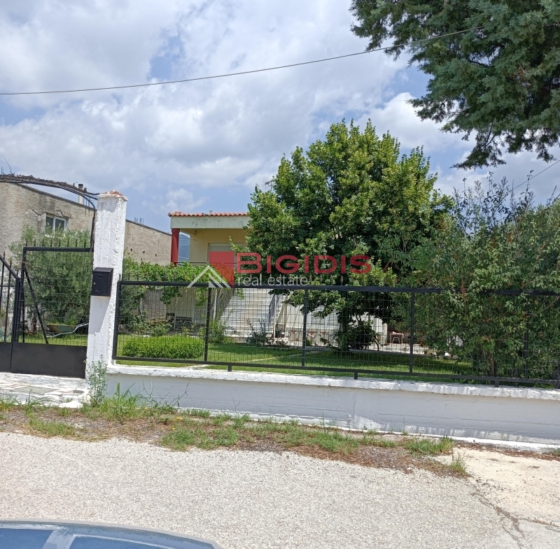 MONOKATOIKIA  270 m2 ισόγειο 145 με 3 δωμάτια σαλοκουζίνα