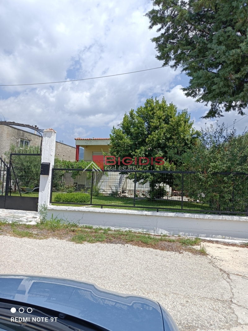 MONOKATOIKIA  270 m2 ισόγειο 145 με 3 δωμάτια σαλοκουζίνα