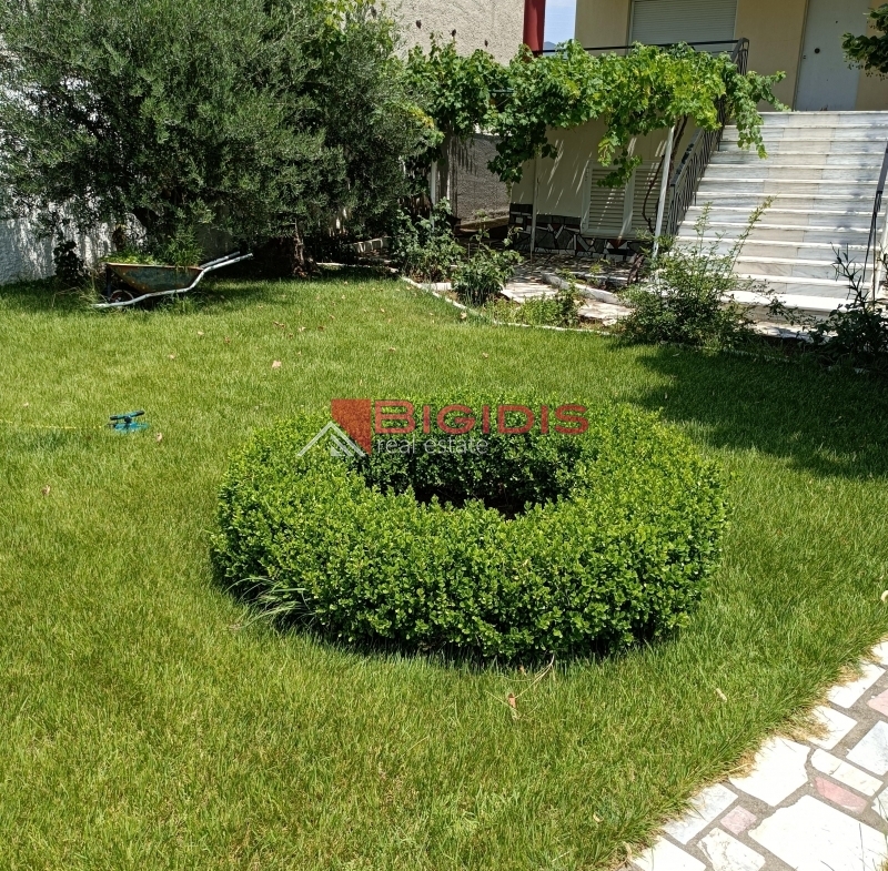 MONOKATOIKIA  270 m2 ισόγειο 145 με 3 δωμάτια σαλοκουζίνα