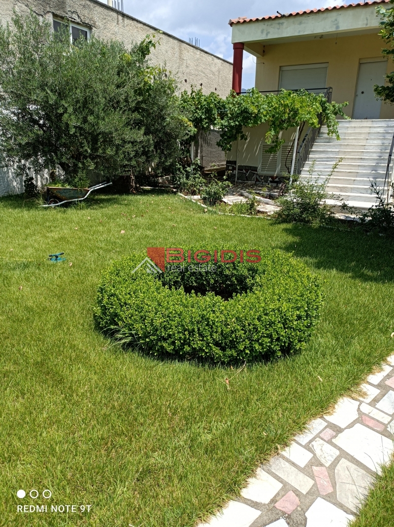 MONOKATOIKIA  270 m2 ισόγειο 145 με 3 δωμάτια σαλοκουζίνα