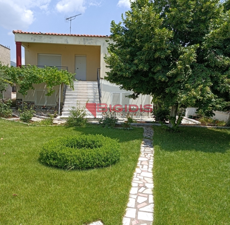 MONOKATOIKIA  270 m2 ισόγειο 145 με 3 δωμάτια σαλοκουζίνα