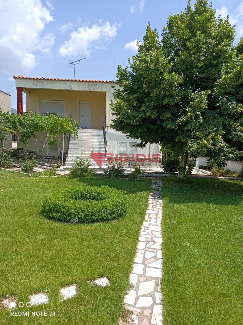 MONOKATOIKIA  270 m2 ισόγειο 145 με 3 δωμάτια σαλοκουζίνα