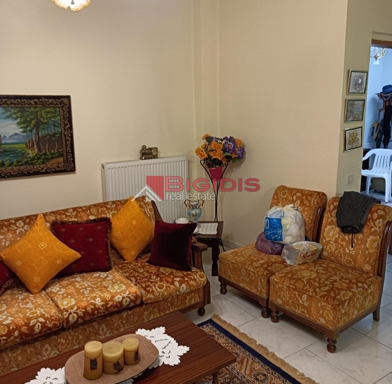 MONOKATOIKIA  270 m2 ισόγειο 145 με 3 δωμάτια σαλοκουζίνα