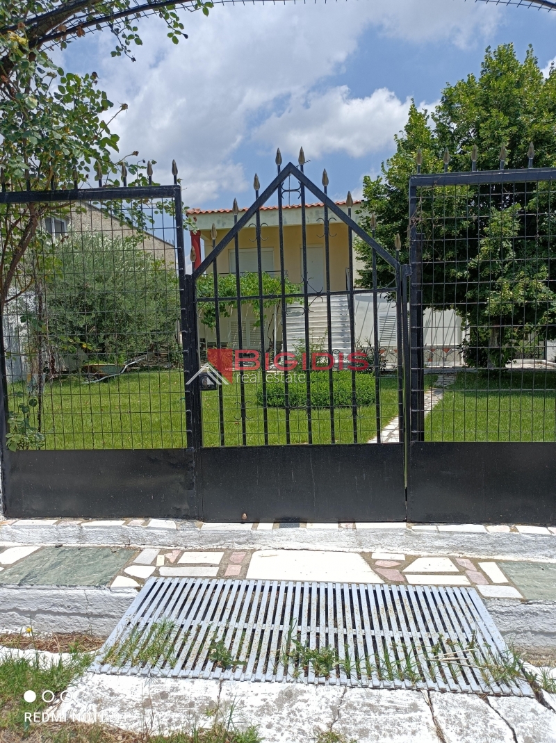 MONOKATOIKIA  270 m2 ισόγειο 145 με 3 δωμάτια σαλοκουζίνα
