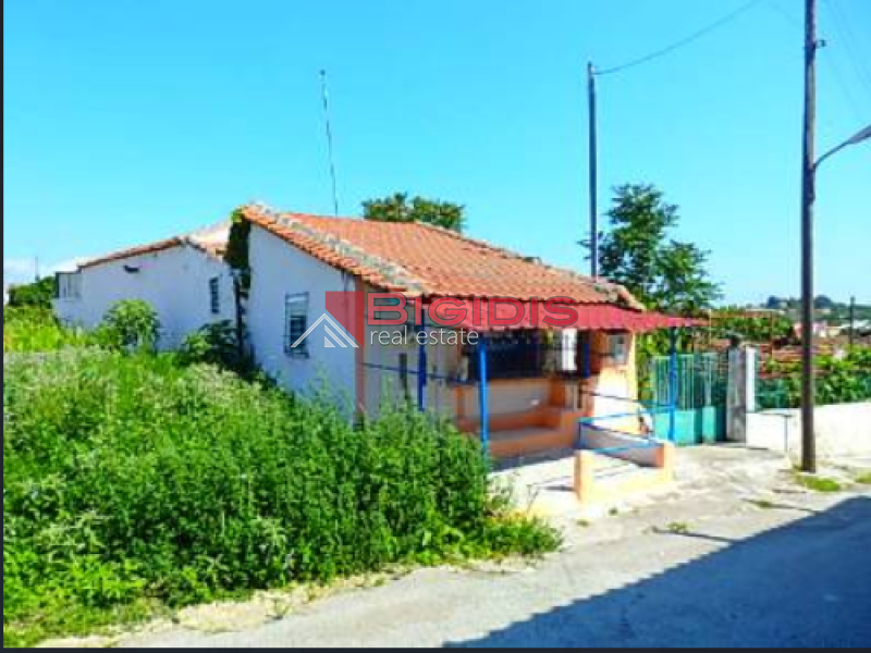 ΗΣΥΧΗ ΜΟΝΟΚΑΤΟΙΚΙΑ ΣΤΗ ΝΕΑ ΖΙΧΝΗ