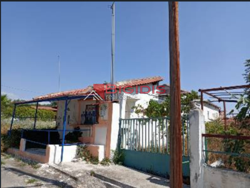 ΗΣΥΧΗ ΜΟΝΟΚΑΤΟΙΚΙΑ ΣΤΗ ΝΕΑ ΖΙΧΝΗ