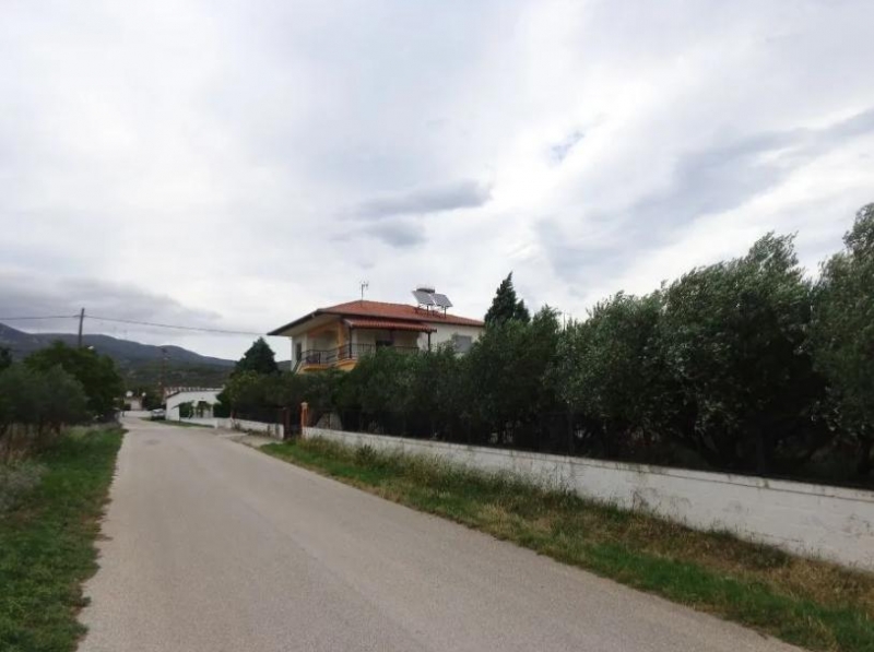 εξαιρετική μονοκατοικία ,διπλοκατοικία.