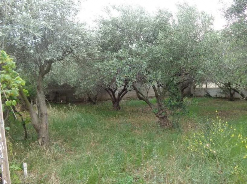 εξαιρετική μονοκατοικία ,διπλοκατοικία.