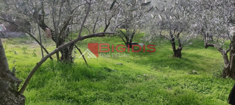 ΕΛΑΙΩΝΑΣ οικόπεδο άρτιο και οικοδομήσιμο με πανοραμική θέα .