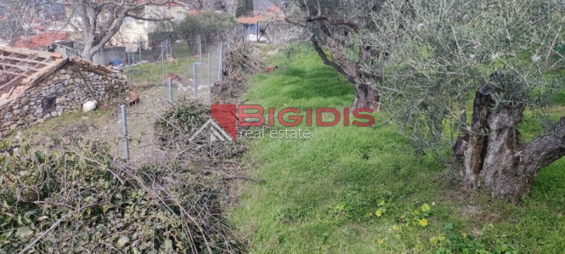 ΕΛΑΙΩΝΑΣ οικόπεδο άρτιο και οικοδομήσιμο με πανοραμική θέα .