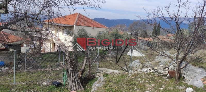 ΕΛΑΙΩΝΑΣ οικόπεδο άρτιο και οικοδομήσιμο με πανοραμική θέα .