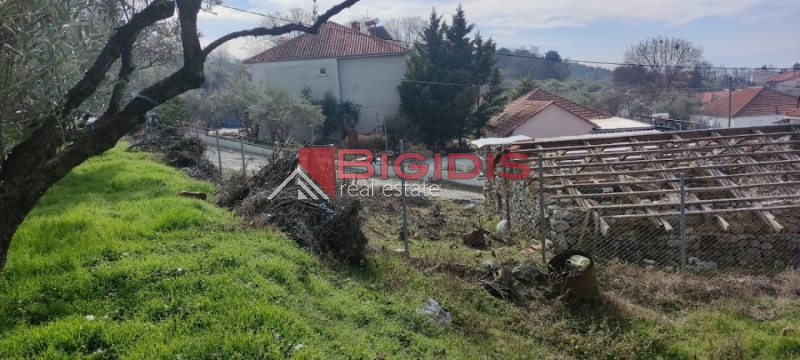 ΕΛΑΙΩΝΑΣ οικόπεδο άρτιο και οικοδομήσιμο με πανοραμική θέα .