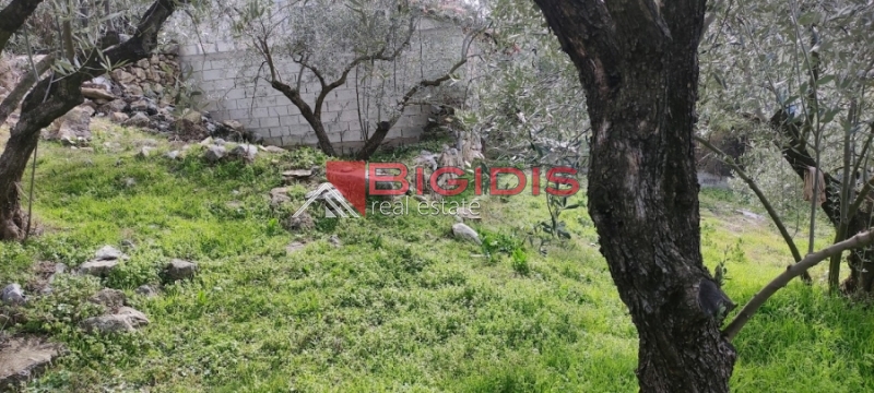 ΕΛΑΙΩΝΑΣ οικόπεδο άρτιο και οικοδομήσιμο με πανοραμική θέα .