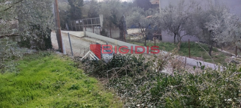 ΕΛΑΙΩΝΑΣ οικόπεδο άρτιο και οικοδομήσιμο με πανοραμική θέα .