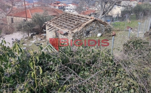 ΕΛΑΙΩΝΑΣ οικόπεδο άρτιο και οικοδομήσιμο με πανοραμική θέα .