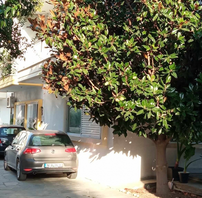 ΠΕΡΑΙΑ ΥΠΕΡΟΧΗ Μεζονέτα 2 επιπέδων ισόγειο και ανώγειο επιφάνειας 101 τετραγωνικών μέτρων .