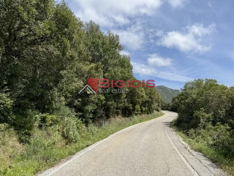 εξαιρετικό αμφιθεατρικό αγροτεμάχιο ΚΕΡΚΥΡΑ.