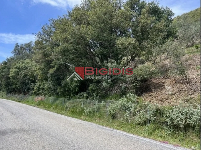 εξαιρετικό αμφιθεατρικό αγροτεμάχιο ΚΕΡΚΥΡΑ.