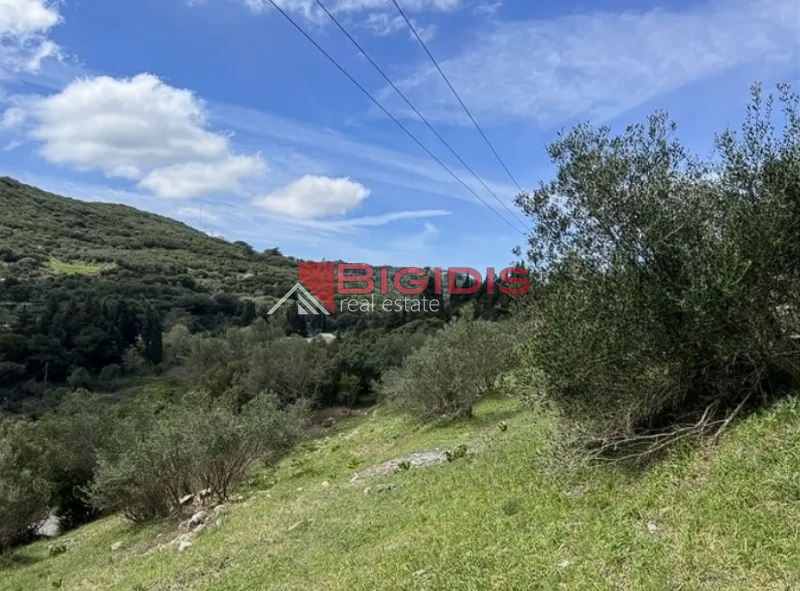 εξαιρετικό αμφιθεατρικό αγροτεμάχιο ΚΕΡΚΥΡΑ.