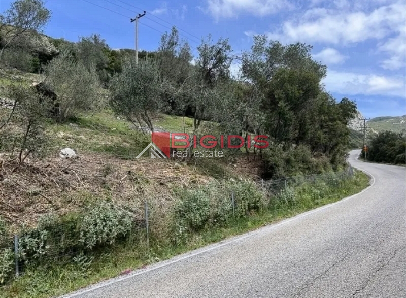 εξαιρετικό αμφιθεατρικό αγροτεμάχιο ΚΕΡΚΥΡΑ.