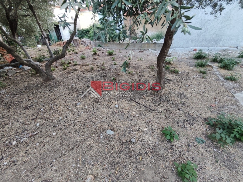 ενεργειακή Μονοκατοικία ΣΙΔΗΡΟΚΑΣΤΡΟ