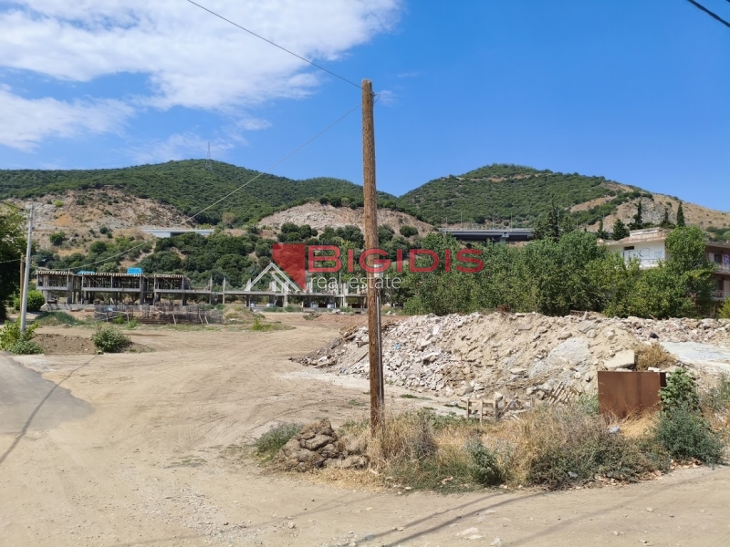 ΕΞΑΙΡΕΤΙΚΕΣ ΠΑΡΑΘΑΛΑΣΣΙΕΣ ΜΕΖΟΝΕΤΕΣ