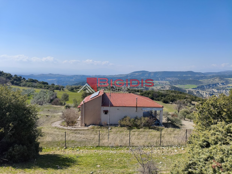 ΕΞΑΙΡΕΤΙΚΗ ΗΣΥΧΗ ΜΟΝΟΚΑΤΟΙΚΙΑ ΕΛΑΙΩΝΑΣ