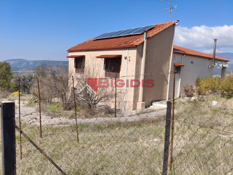 ΕΞΑΙΡΕΤΙΚΗ ΗΣΥΧΗ ΜΟΝΟΚΑΤΟΙΚΙΑ ΕΛΑΙΩΝΑΣ