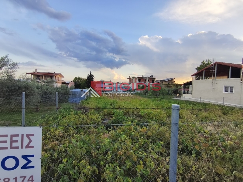 ΕΞΑΙΡΕΤΙΚΟ οικόπεδο