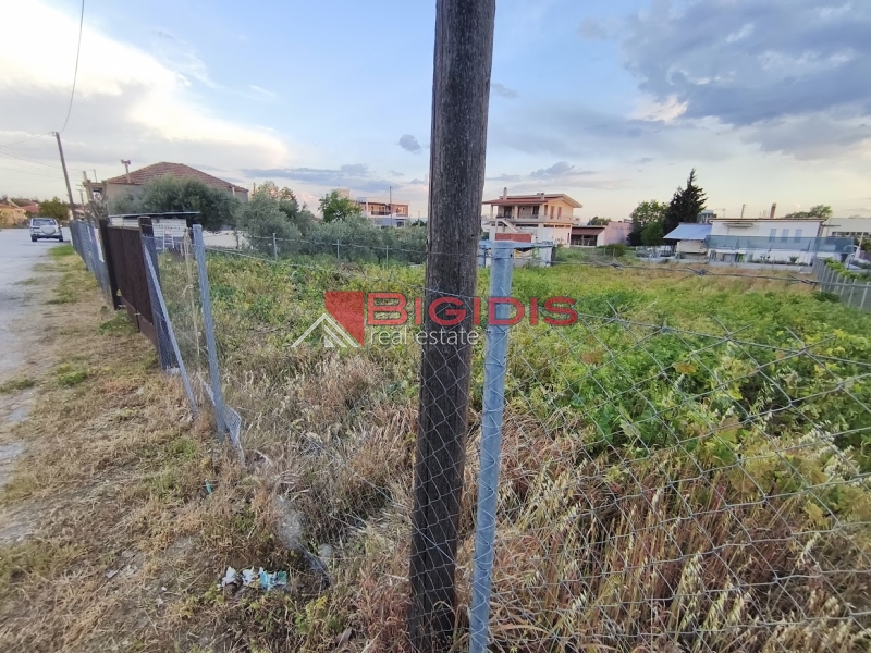 ΕΞΑΙΡΕΤΙΚΟ οικόπεδο