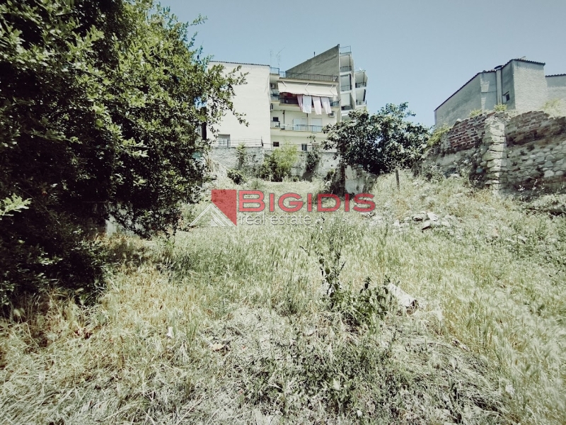 εξαιρετικό οικόπεδο για δόμηση κατοικιών .