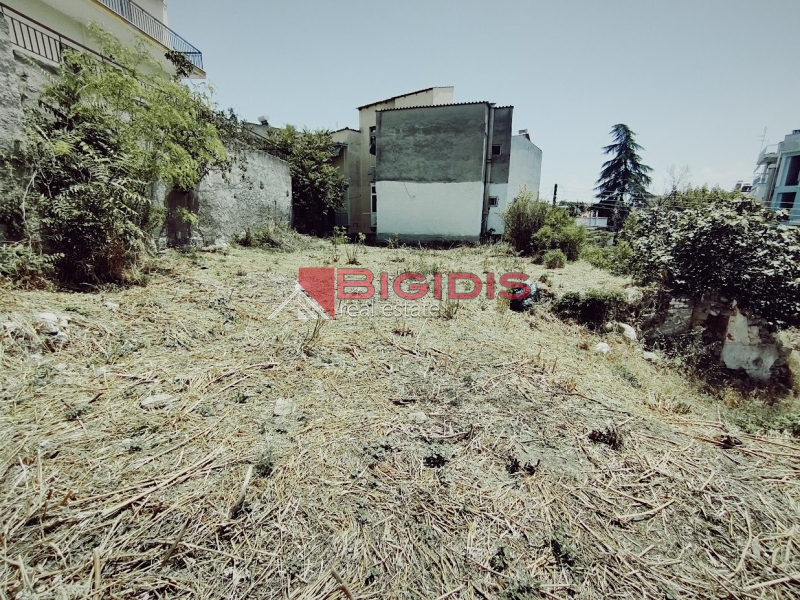 εξαιρετικό οικόπεδο για δόμηση κατοικιών .
