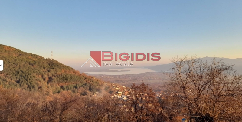 ΑΝΩ ΠΟΡΟΙΑ  μοναδική τριπλοκατοικία για επενδυση