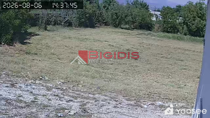 επενδυτικό αγροτεμάχιο