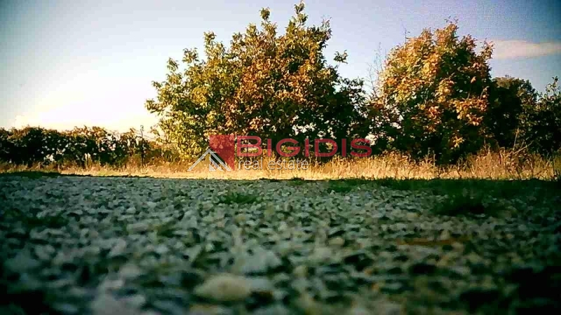 επενδυτικό αγροτεμάχιο