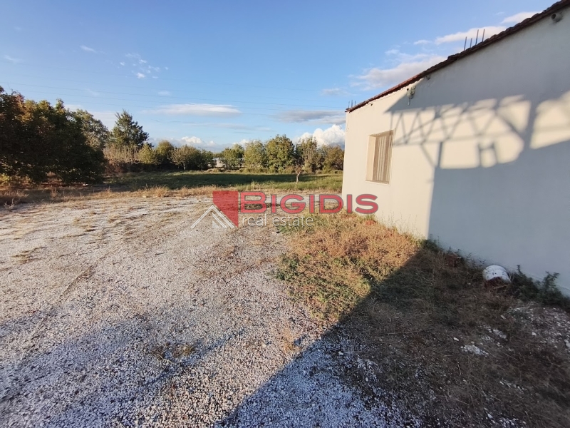 επενδυτικό αγροτεμάχιο
